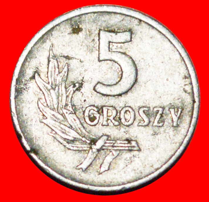  * SOCIALIST STARS ON EAGLE REDUCED SIZE (1958-1972): POLAND ★ 5 GROSZES 1959 LOW START ★ NO RESERVE!   