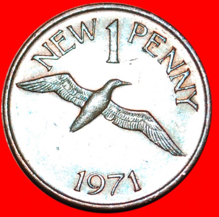 Ⰶ NORTHEN GANNET ★ GUERNSEY ★ 1 NEW PENNY 1971! ELIZABETH II (1953-2022) LOW START ★ NO RESERVE!