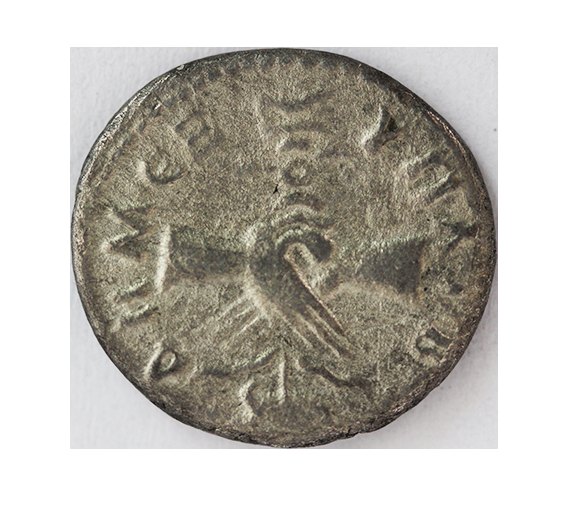  Domitian 80 AD,AR Denarius , 2,63 g.   