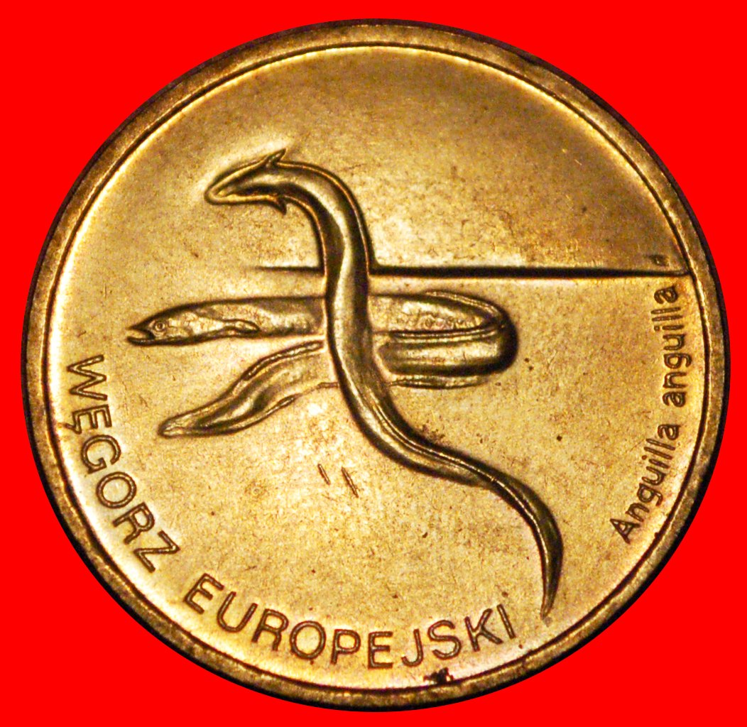  * EEL RARE: POLAND ★ 2 ZLOTY 2003 NORDIC GOLD UNC MINT LUSTRE! ★ LOW START ★ NO RESERVE!   