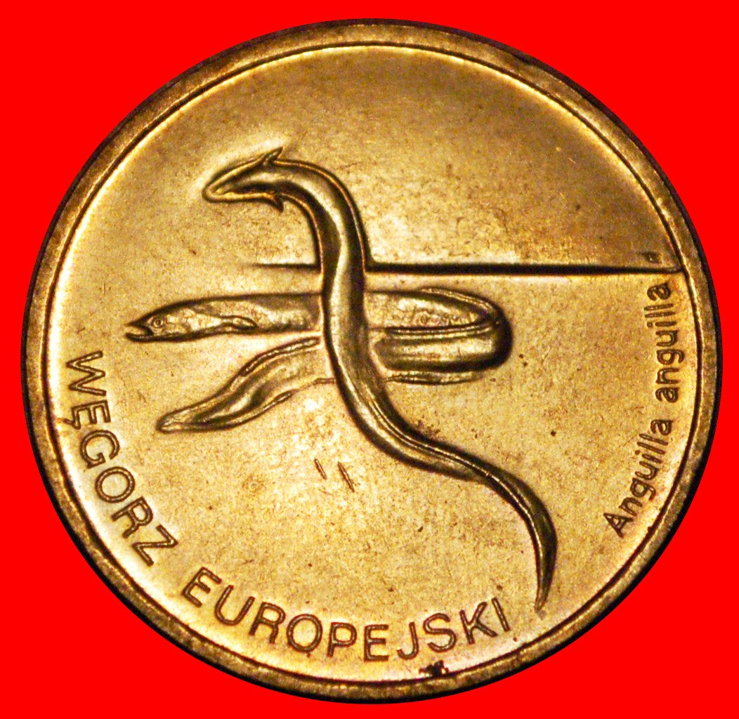 Ⰶ EEL RARE: POLAND ★ 2 ZLOTY 2003 NORDIC GOLD UNC MINT LUSTRE! ★ LOW START ★ NO RESERVE!