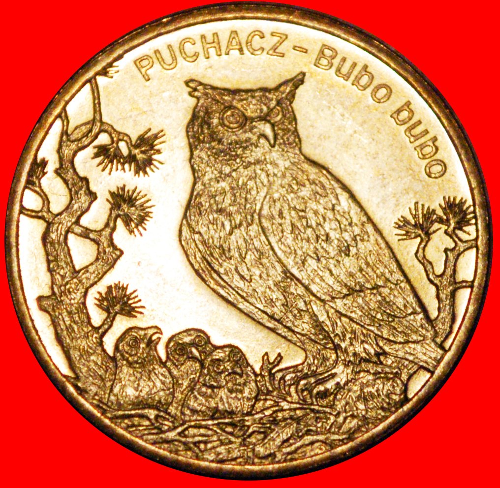  * EAGLE-OWL UNCOMMON: POLAND ★ 2 ZLOTY 2005 NORDIC GOLD UNC MINT LUSTRE! ★ LOW START ★ NO RESERVE!   