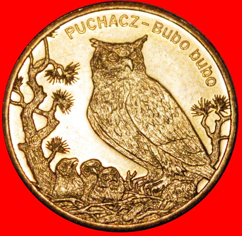 Ⰶ EAGLE-OWL UNCOMMON: POLAND ★ 2 ZLOTY 2005 NORDIC GOLD UNC MINT LUSTRE! ★ LOW START ★ NO RESERVE!