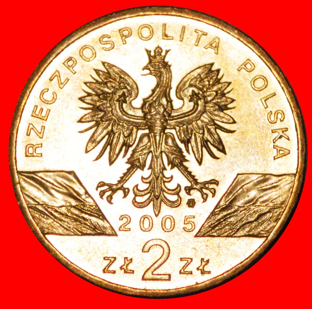  Ⰶ EAGLE-OWL UNCOMMON: POLAND ★ 2 ZLOTY 2005 NORDIC GOLD UNC MINT LUSTRE! ★ LOW START ★ NO RESERVE!   