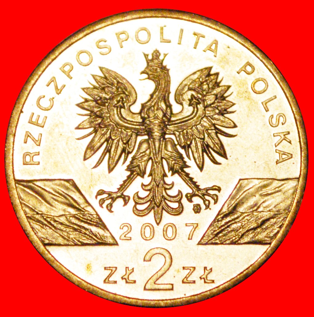  Ⰶ KEGEIROBBE UNGEWÖHNLICH: POLEN ★ 2 ZLOTY 2007 NORDISCHES GOLD STG STEMPELGLANZ!★OHNE VORBEHALT!   