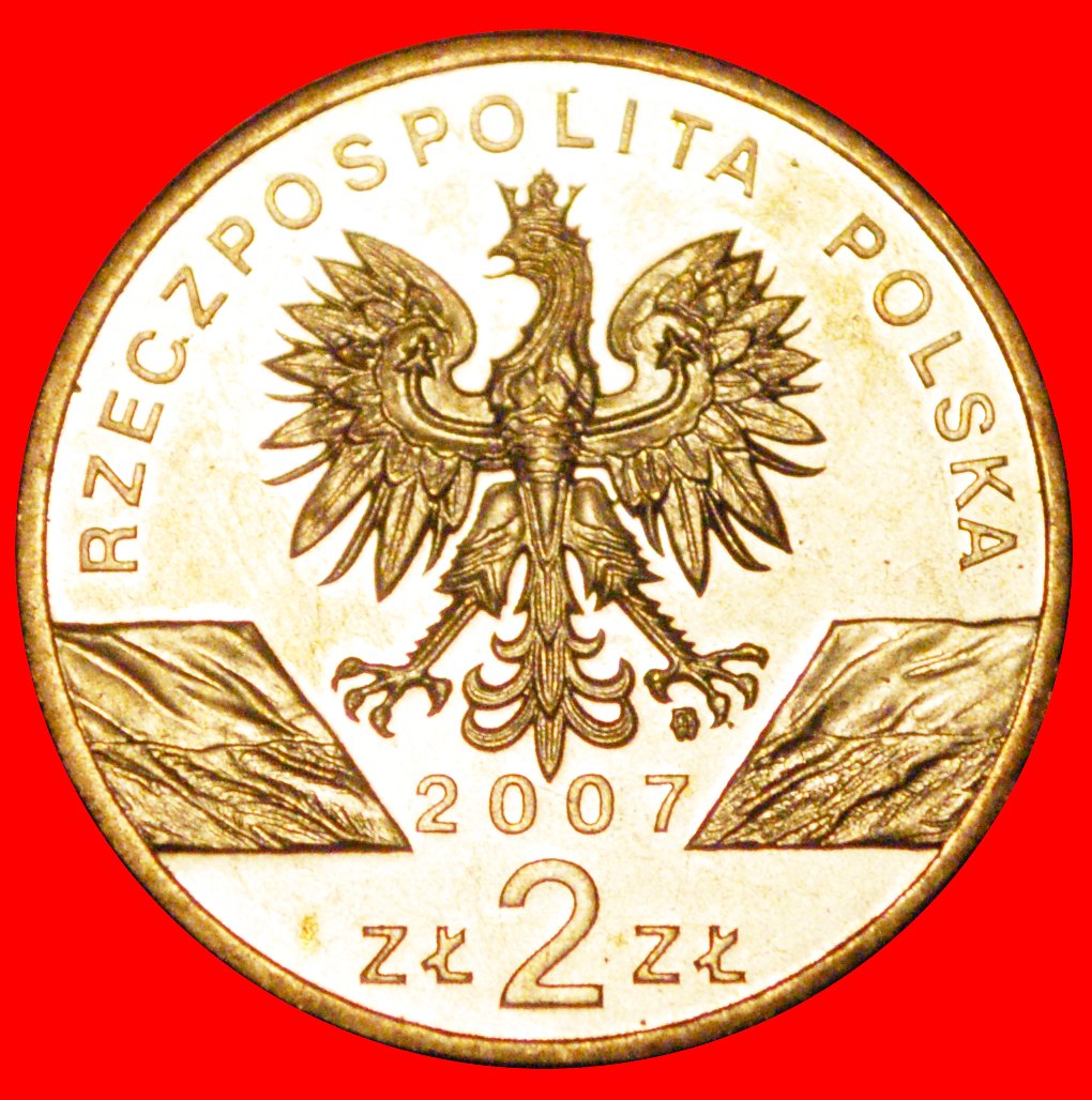  * KEGEIROBBE UNGEWÖHNLICH: POLEN ★ 2 ZLOTY 2007 NORDISCHES GOLD STG STEMPELGLANZ!★OHNE VORBEHALT!   