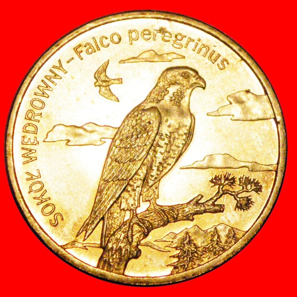  * FALCON: POLAND ★ 2 ZLOTY 2008 NORDIC GOLD UNC MINT LUSTRE! ★ LOW START ★ NO RESERVE!   