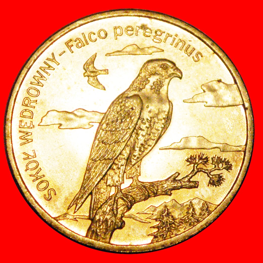 Ⰶ FALCON: POLAND ★ 2 ZLOTY 2008 NORDIC GOLD UNC MINT LUSTRE! ★ LOW START ★ NO RESERVE!