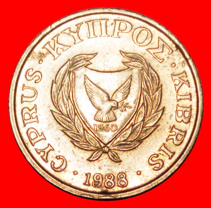  * GREAT BRITAIN: CYPRUS ★ 5 CENTS 1988 BUCRANIUM! SILVER BOWL! LOW START ★ NO RESERVE!   