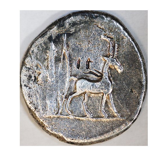  Römische Republik, Cn. Plancius (55 v. Chr.),AR Denarius 3,56 g.   