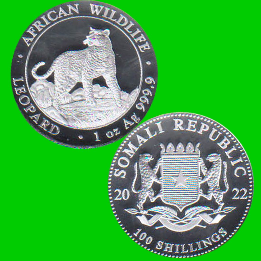  Somalia 100 Shilling Silbermünze *Wildlife - Leopard* 2022 1oz Silber nur 30.000St!   