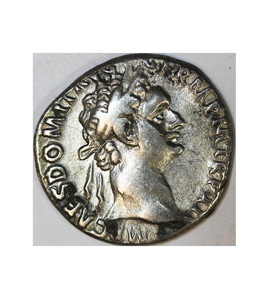  Domitian 81-96 AD,AR Denarius ,3,20 g.   