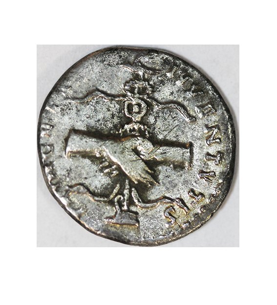 Domitian 81-92 AD,AR Denarius , 2,78 g.
