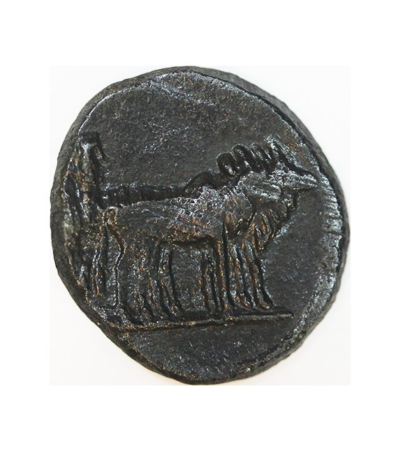  Augustus 27 BC-14 AD ,Philippi, AE Semisis 17 mm , 3,97 g. SELTEN   