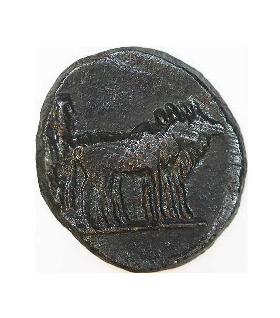 Augustus 27 BC-14 AD ,Philippi, AE Semisis 17 mm , 3,97 g. SELTEN