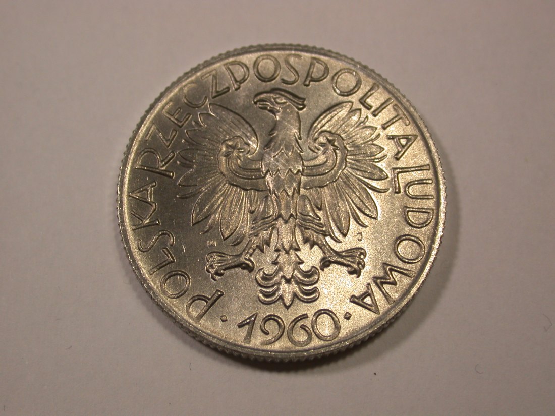  G12 Polen  5 Zloty 1960 in ST-fein Prachtexemplar   Originalbilder   