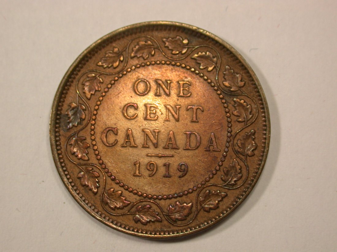 G13 Kanada 1 Cent 1919 in ss+ Originalbilder