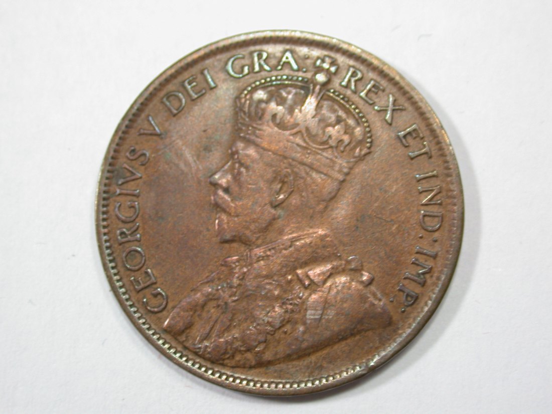  G13 Kanada  1 Cent 1919 in ss+   Originalbilder   
