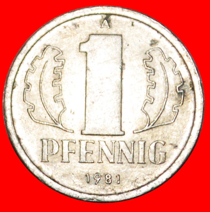  * HAMMER UND ZIRKEL: DEUTSCHLAND DDR ★ 1 PFENNIG 1981A! OHNE VORBEHALT!   