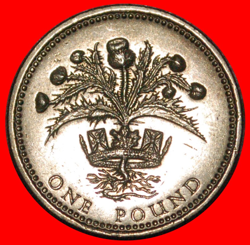  * THISTLE: GREAT BRITAIN ★ 1 POUND 1989 XF! LOW START ★ NO RESERVE!   