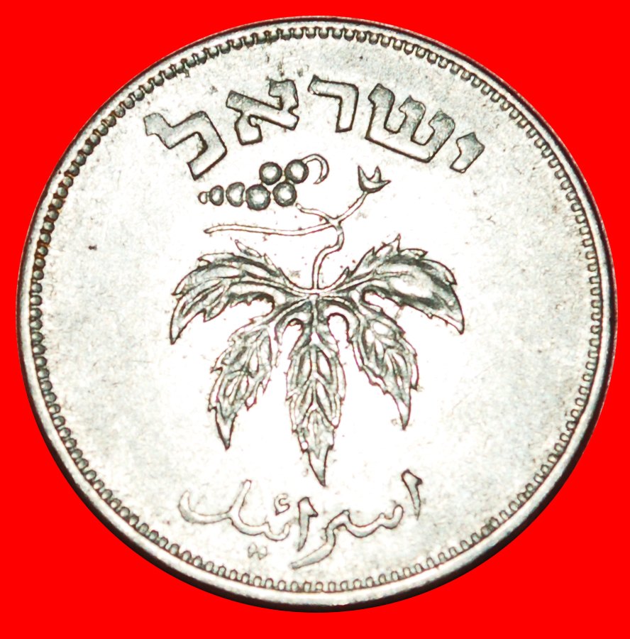  * GRAPE: PALESTINE (israel) ★ 50 PRUTA 5714 (1954) MAGNETIC! LOW START ★ NO RESERVE!   