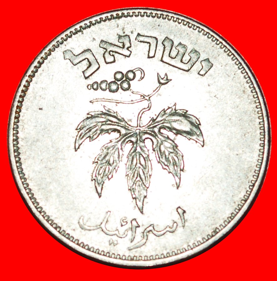  * GRAPE: PALESTINE (israel) ★ 50 PRUTA 5714 (1954) MAGNETIC! LOW START ★ NO RESERVE!   