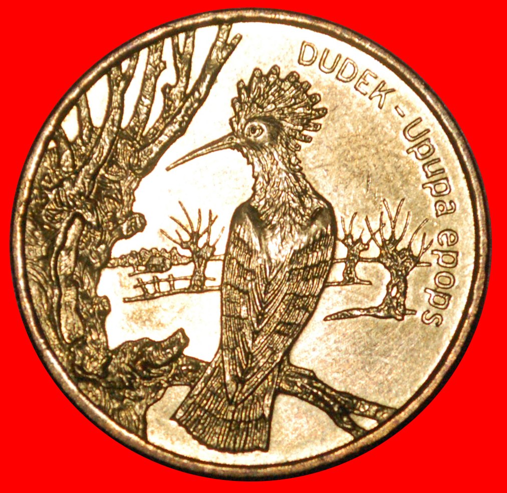 * HOOPOE RARE: POLAND ★ 2 ZLOTY 2000 NORDIC GOLD UNC MINT LUSTRE! LOW START ★ NO RESERVE!