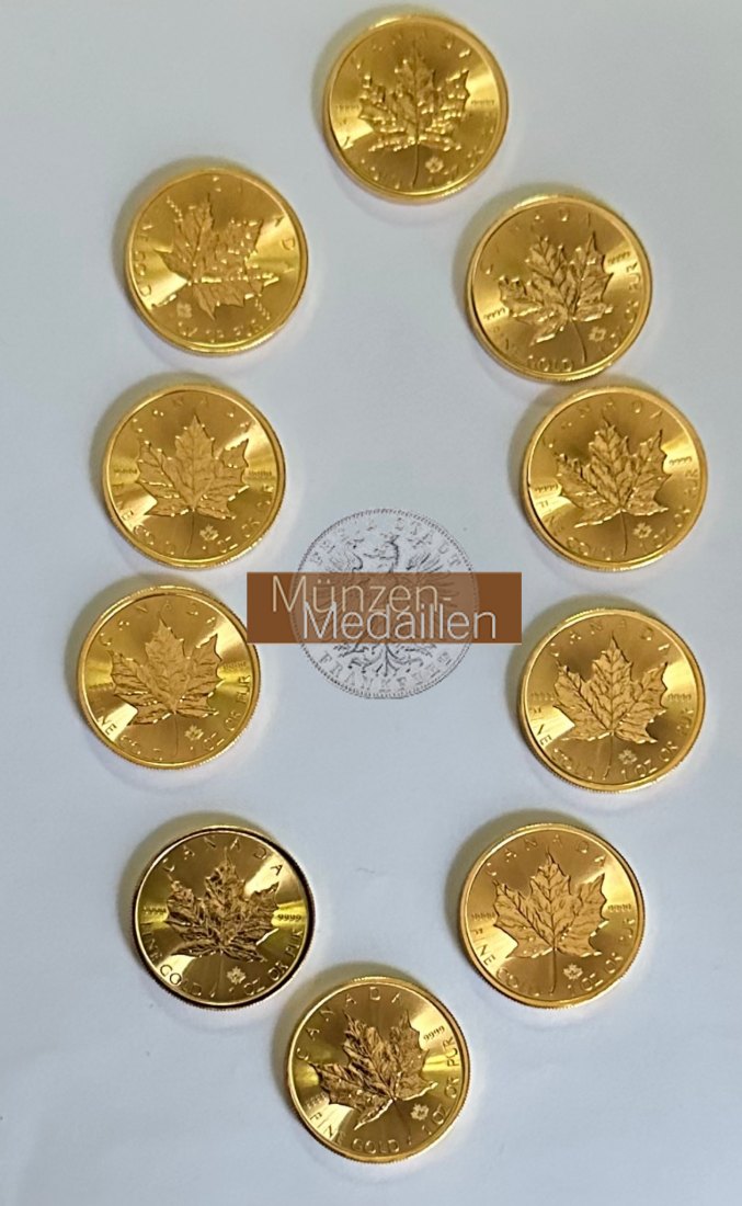 Kanada 10 x 50 Dollar MM-Frankfurt Feingold: 10 x 31,1g ges. 311g Maple Leaf diverse 