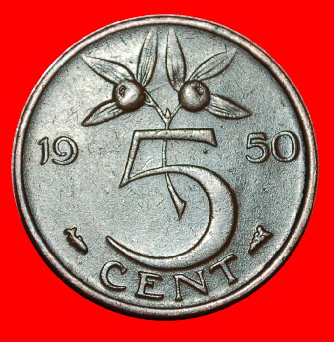  * PORTRAIT RIGHT (1950-1980): NETHERLANDS ★ 5 CENTS 1950! JULIANA (1948-1980) LOW START★ NO RESERVE!   