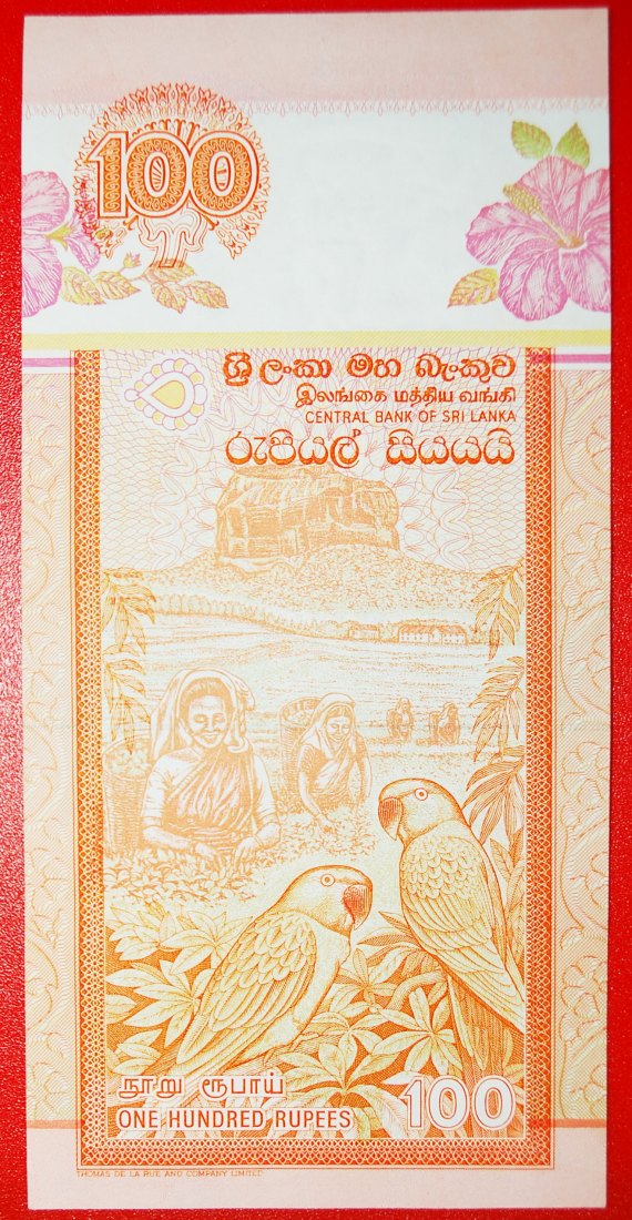  * GREAT BRITAIN: SRI LANKA ★ 100 RUPEES 1992 PARROTS! CRISP!★LOW START ★ NO RESERVE!   