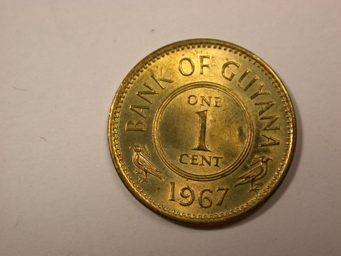  G19  Guyana 1 Cent 1967 in ST-fein  Originalbilder   