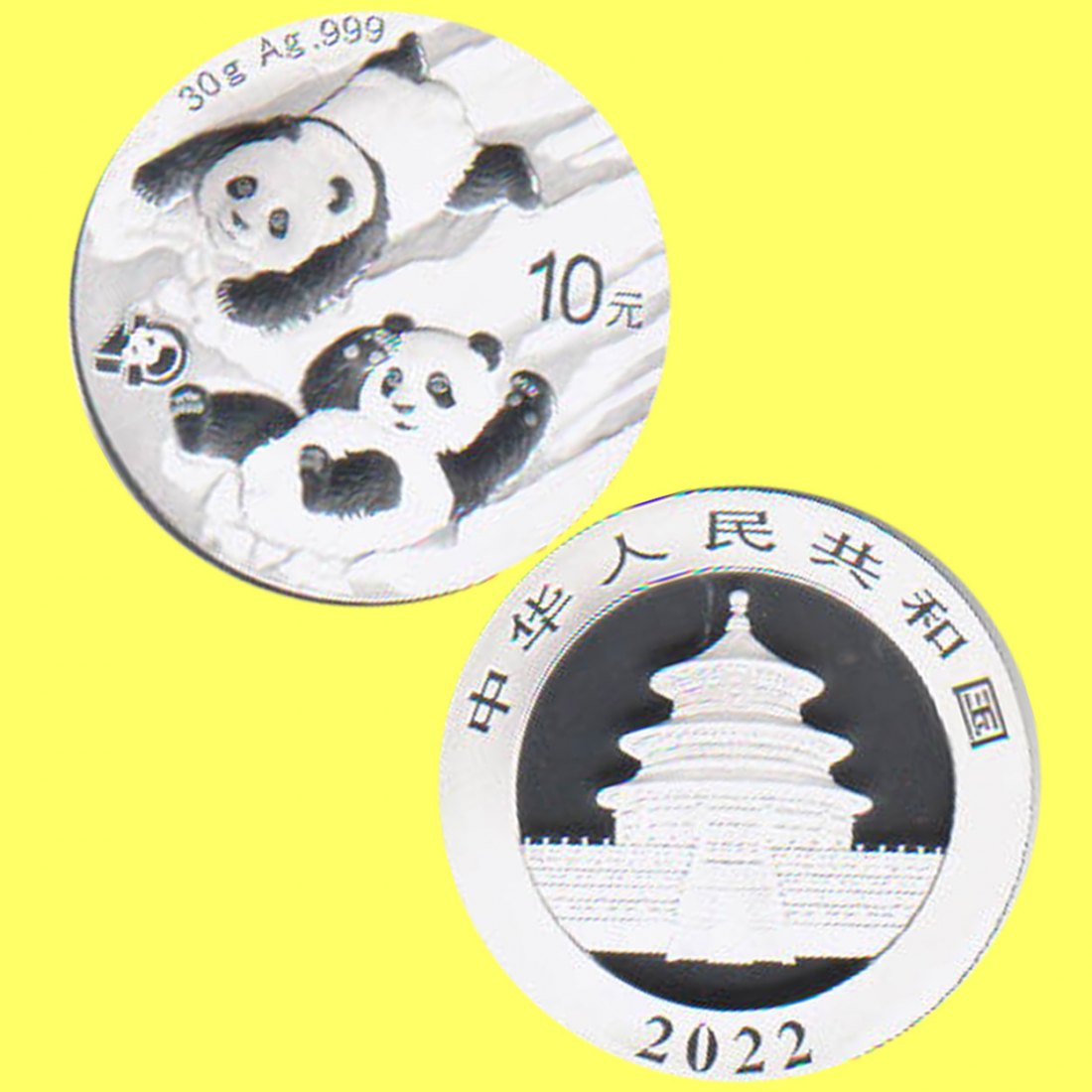  China 10 Yuan Silbermünze *Panda* 2022 30g Silber   