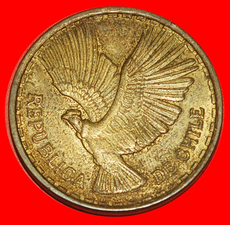  * CONDOR ★ CHILE ★ 10 CENTESIMOS 1969!   LOW START ★ NO RESERVE!   