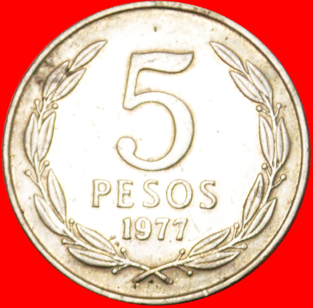  * ENGEL 1973: CHILE ★ 5 PESO 1977! OHNE VORBEHALT!   