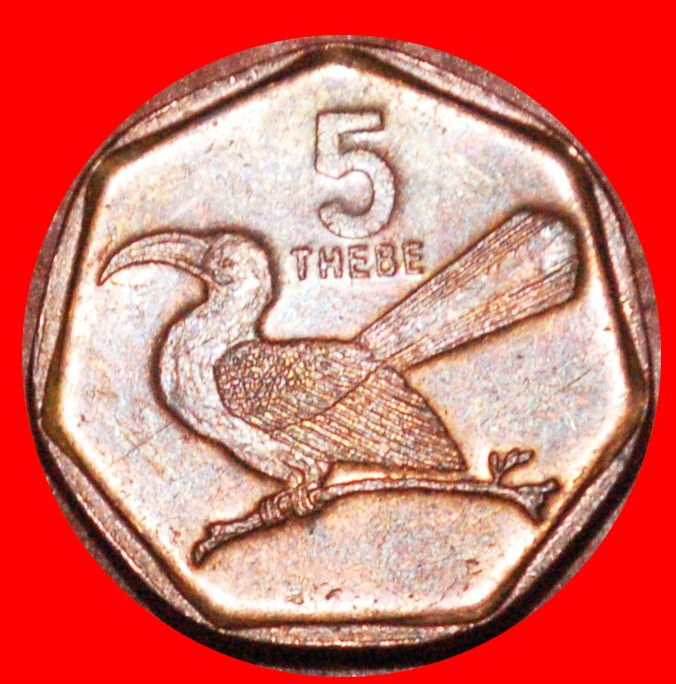  * SOUTH AFRICA (1998-2009): BOTSWANA ★ 5 THEBE 2007 BIRD! LOW START ★ NO RESERVE!   