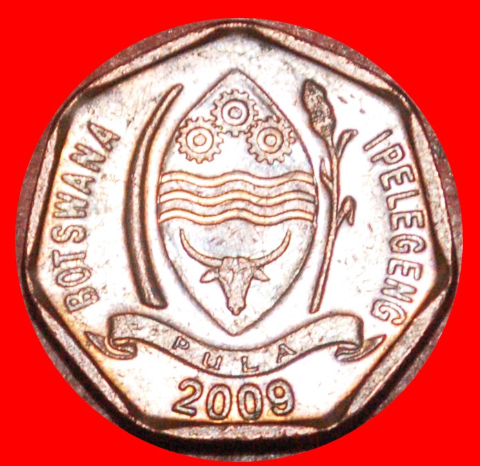  * SOUTH AFRICA (1998-2009): BOTSWANA ★ 5 THEBE 2009 BIRD! LOW START ★ NO RESERVE!   