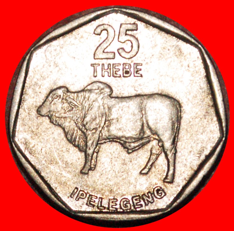  * SÜDAFRIKA (1998-2009): BOTSWANA ★ 25 THEBE 1998 ZEBU!★OHNE VORBEHALT!   