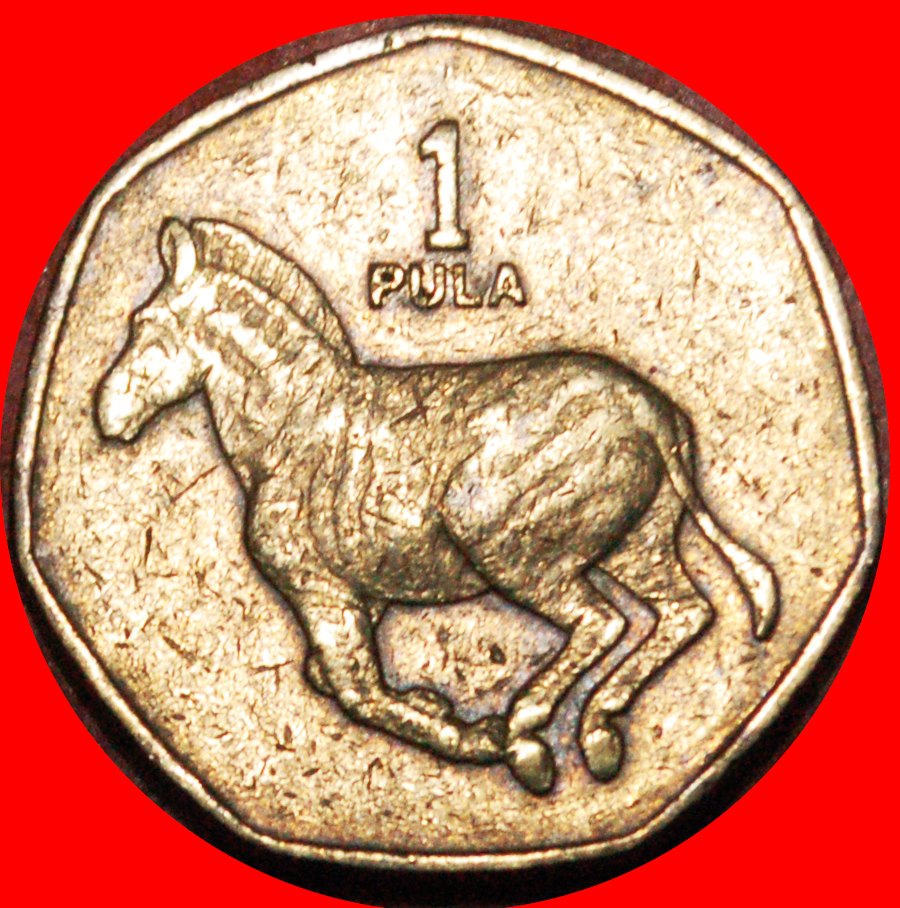 * KANADA (1991-2007): BOTSWANA ★ 1 PULA 1991 SIEBENECK ZEBRA! ★OHNE VORBEHALT!