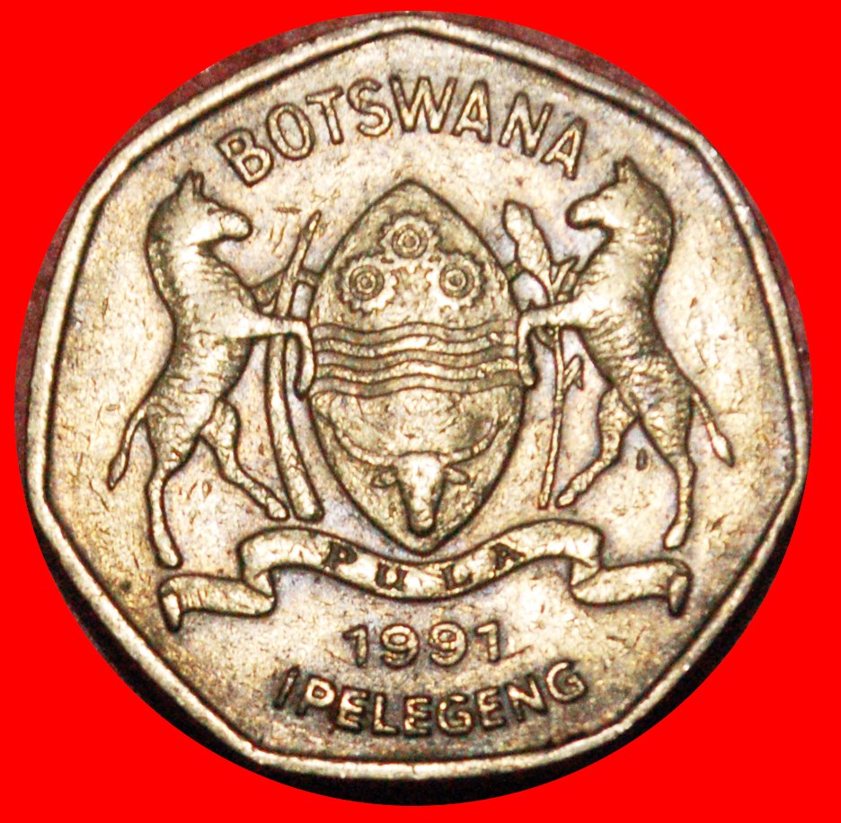  * KANADA (1991-2007): BOTSWANA ★ 1 PULA 1991 SIEBENECK ZEBRA! ★OHNE VORBEHALT!   