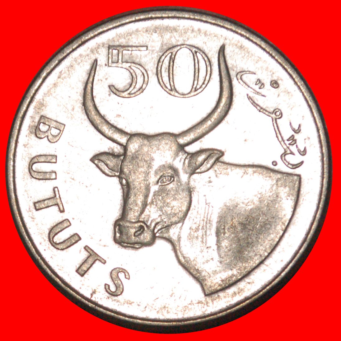  * BULL (2008-2016): THE GAMBIA ★ 50 BUTUTS 2008! LOW START ★ NO RESERVE!   