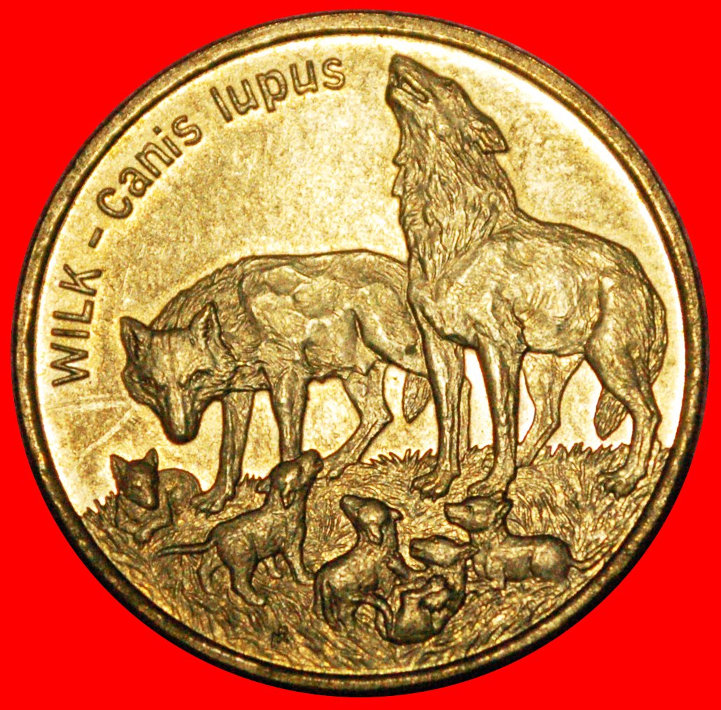  * WOLVES RARE: POLAND ★ 2 ZLOTY 1999 NORDIC GOLD UNC MINT LUSTRE! LOW START★ NO RESERVE!   
