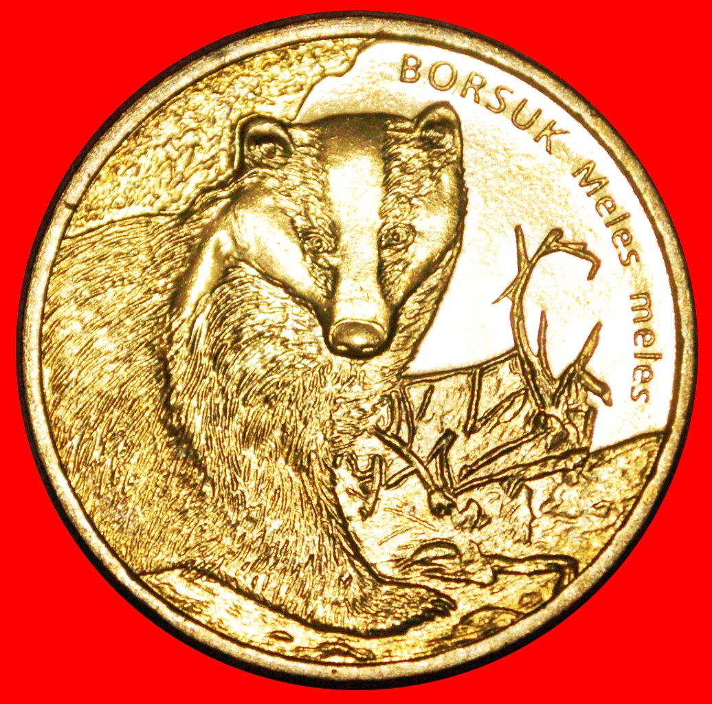  * BADGER: POLAND ★ 2 ZLOTY 2011 NORDIC GOLD UNC MINT LUSTRE! LOW START★ NO RESERVE!   