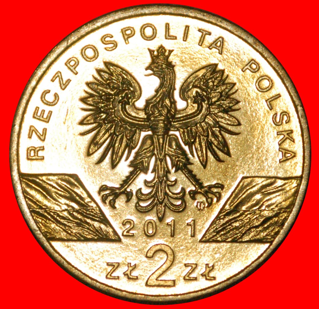  * DACHS: POLEN ★ 2 ZLOTY 2011 NORDISCHES GOLD STG STEMPELGLANZ! OHNE VORBEHALT!   