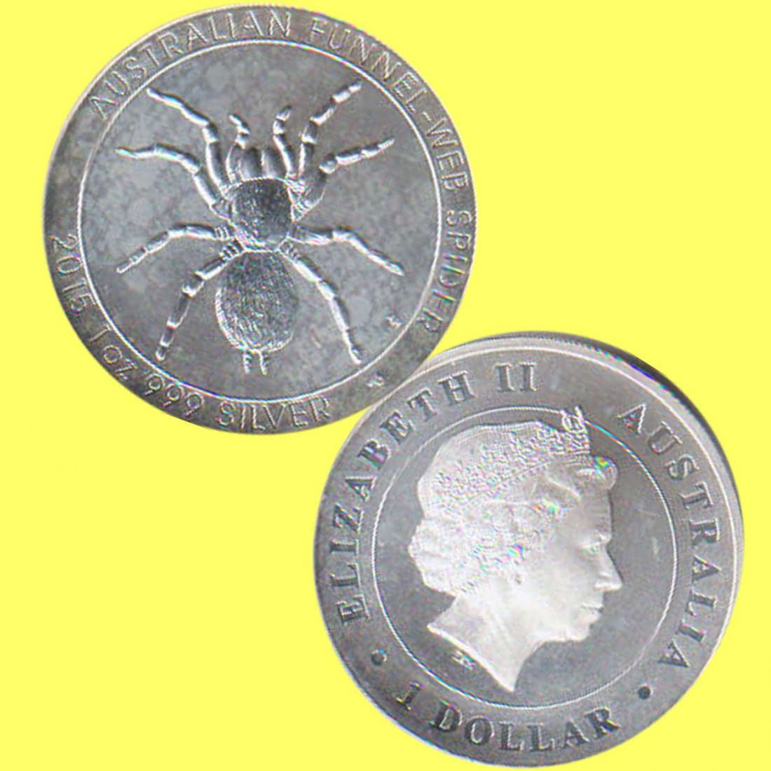  Australien 1$ Silbermünze *Trichternetz-Spinne* 2015 1oz Silber   