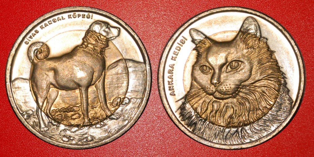  Ⰶ RARE: TURKEY ★ 1 LIRA 2010 CAT & DOG COMPLETE UNC SET! ★LOW START ★ NO RESERVE!   