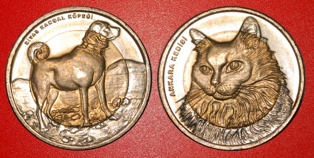  * RARE: TURKEY ★ 1 LIRA 2010 CAT & DOG COMPLETE UNC SET! ★LOW START ★ NO RESERVE!   