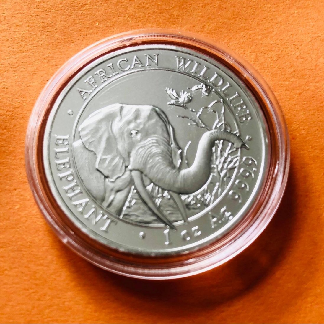  1 Unze Somalia Elefant 2018   