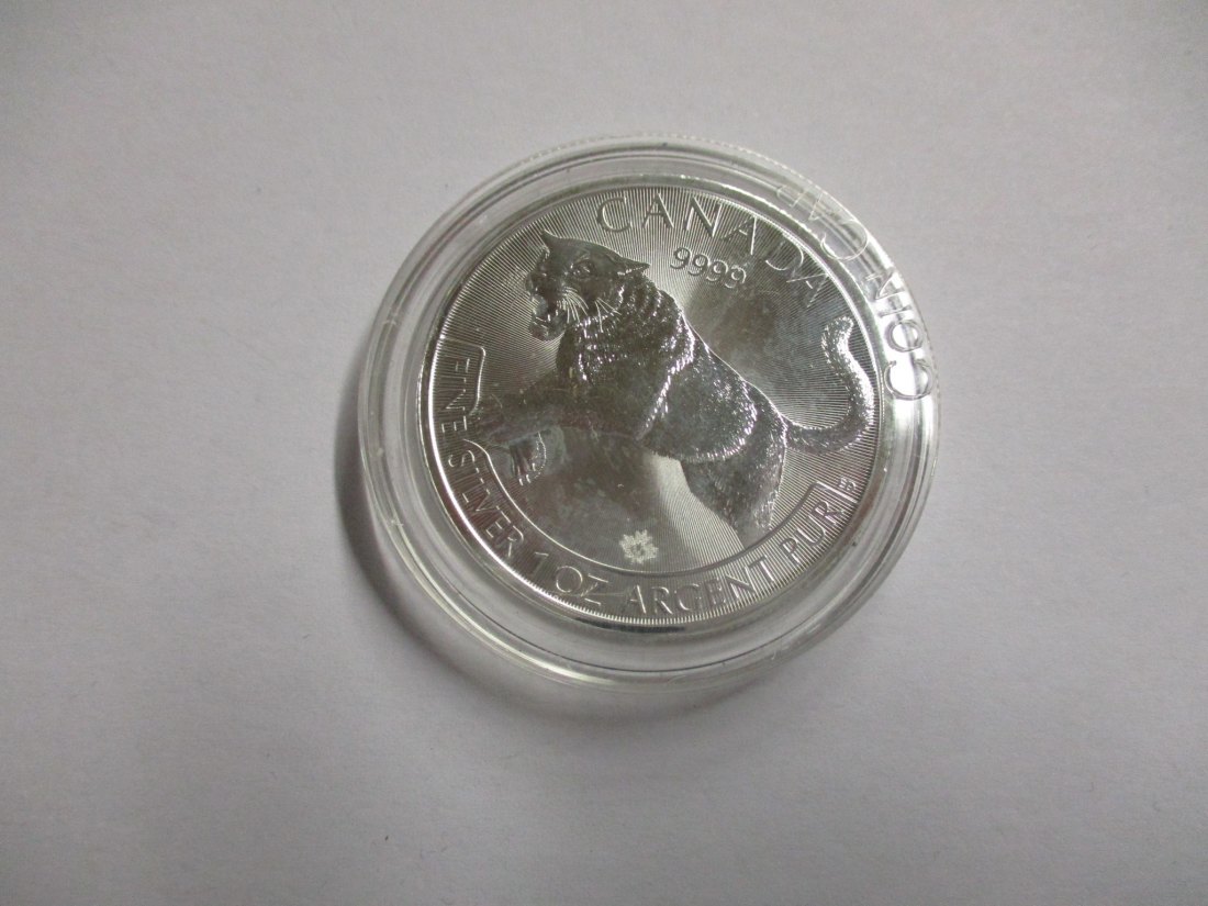  5 Dollars Kanada 2016 Feinsilber: 31,1 g /U3   