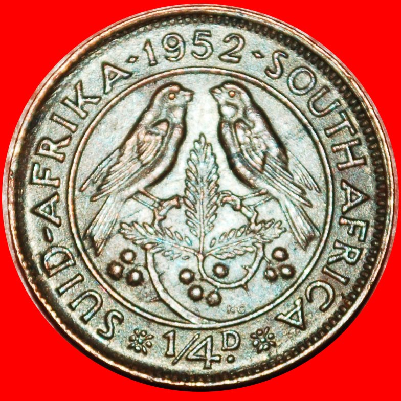 ~ VÖGEL (1950-1952): SÜDAFRIKA ★ 1/4 PENNY 1952! GEORG VI. (1937-1952)★OHNE VORBEHALT!