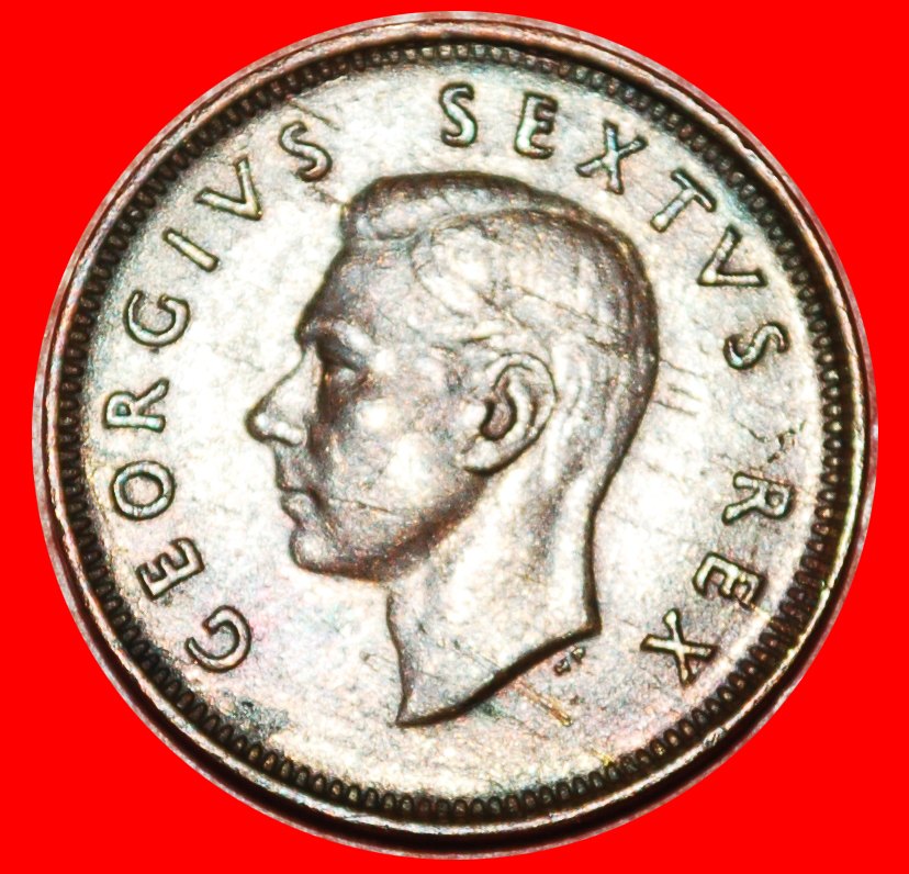  ~ BIRDS (1950-1952): SOUTH AFRICA ★ 1/4 PENNY 1952! GEORGE VI (1937-1952)★LOW START★NO RESERVE!   